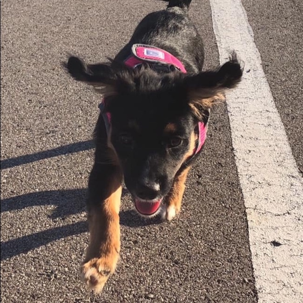 Meet your Posher, Emily